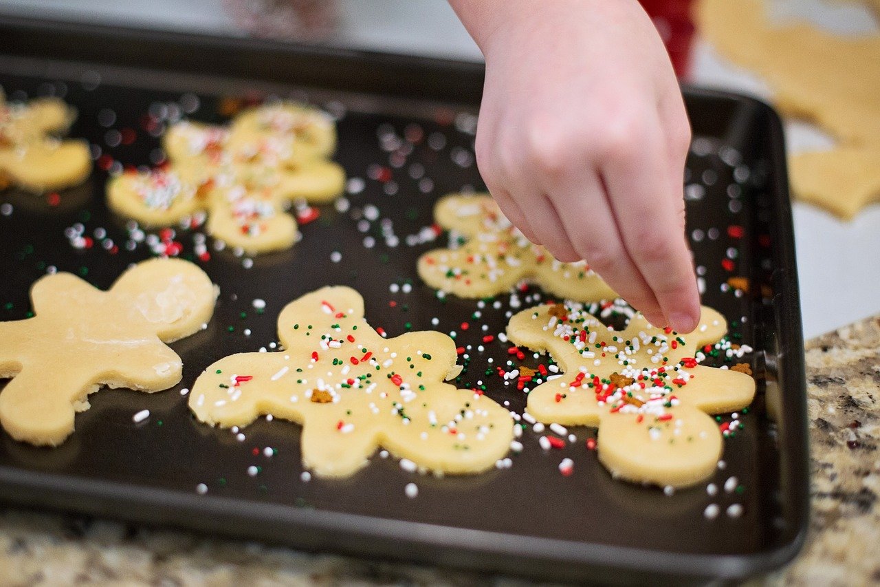 christmas-cookies-553457_1280 mariam-english-anglictina-online
