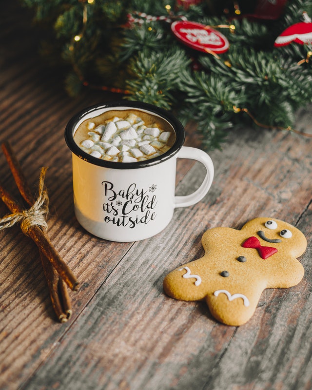 christmas salka mariam-english-anglictina-online